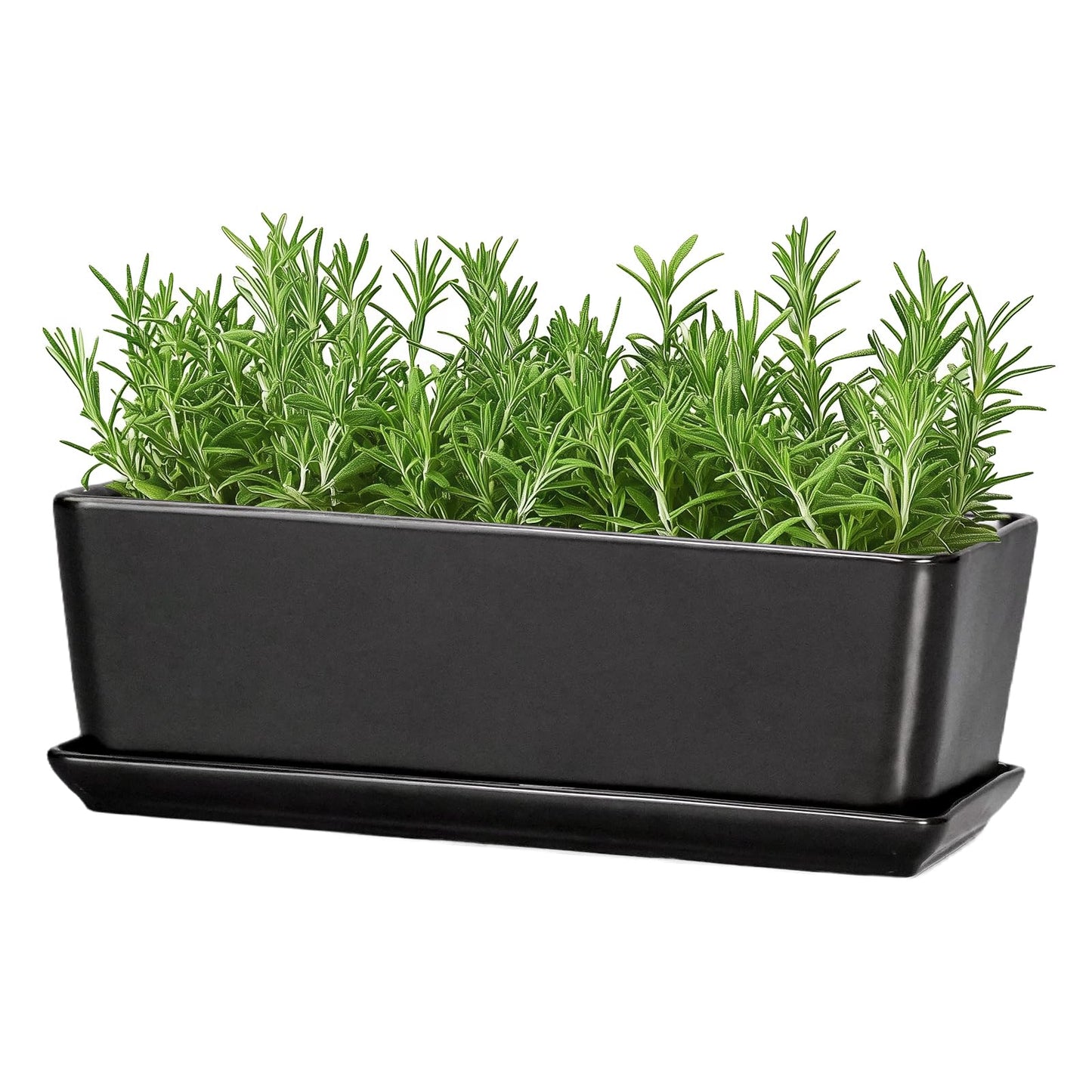 SQOWL Rectangle Planter - 10 Inch Ceramic Plant Pots with Drainage Hole and Saucer, Rectangular Succulent Planters for Indoor Plants, Flower Cactus Herb Pots Outdoor, Room Decor, Garden Gifts, Black