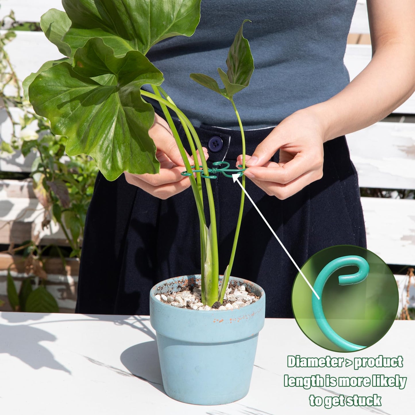 Yohsnor Monstera Plant Stem Support - Set of 5 Sturdy Indoor Support Sticks for Monstera & Climbing Plants - Essential Growth Stabilizers for Leaf Support - Easy-to-Use Gardening Accessories