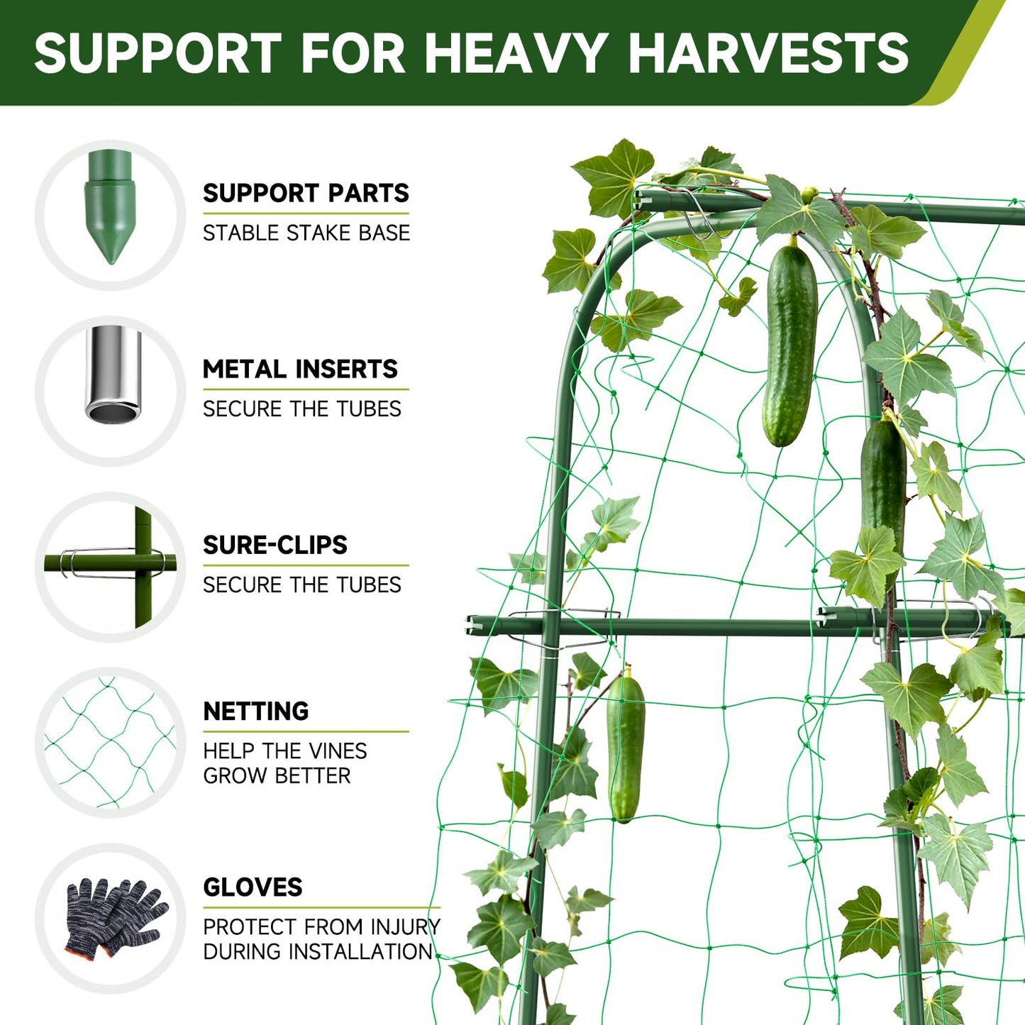 HIRALIY Cucumber Trellis for Climbing Plants Outdoor, 5.25ft Tall Heavy Duty Metal Garden Arch Trellis, Rustproof Plant Support Tunnel for Tomato, Grape, Bean, Raised Bed and Vegetable Gardens, Green