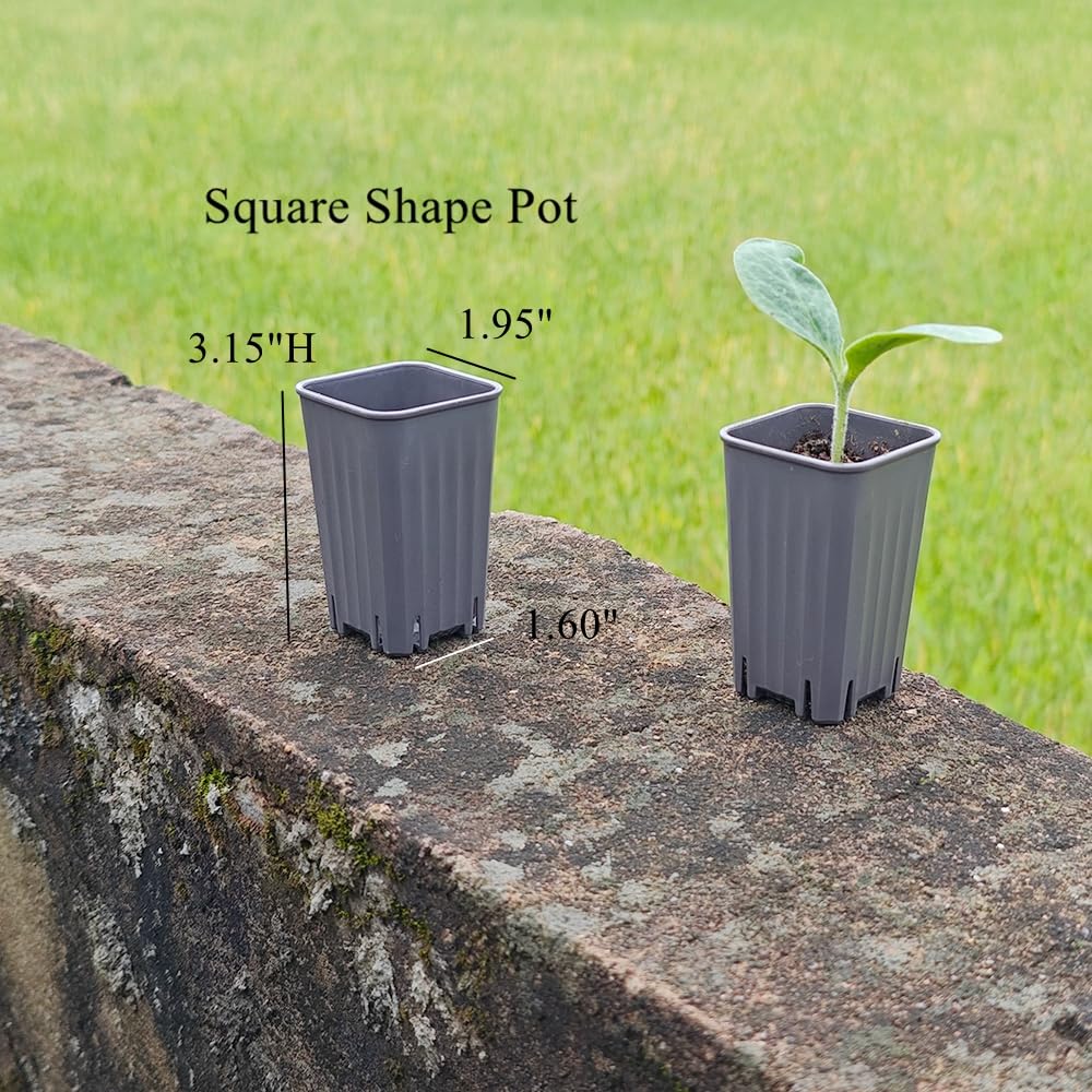 BangQiao 180 Pack 1.95 Inch Tiny Gray Plastic Square Nursery and Seedling Pot, Mini Deep Transplant Seed Starter Planter with Drain Hole for Germination, Herb, Succulent