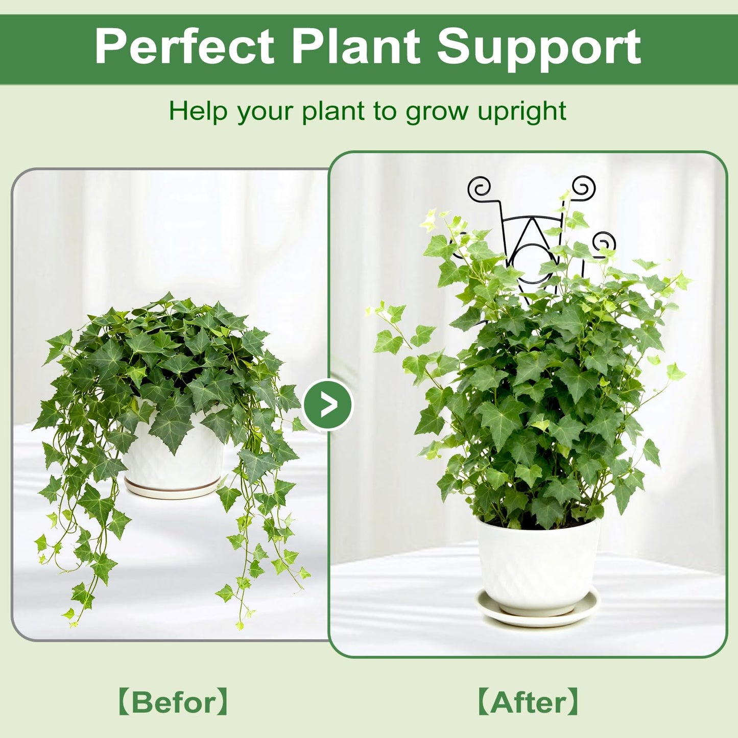 Yhtpouqe Indoor Plant Trellis for Climbing Plants 2 Pack Small Garden Metal Support for Potted Plants Flowers Houseplants for Outdoor