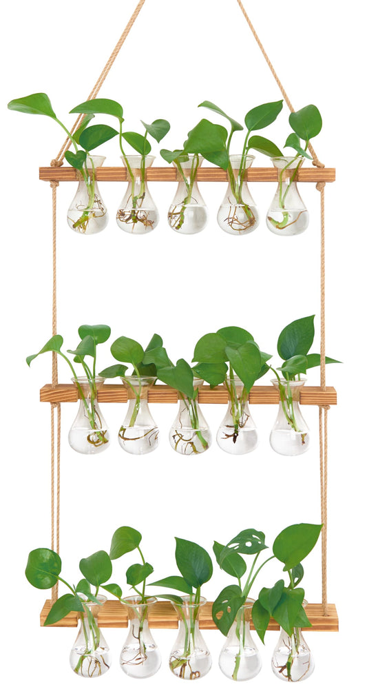 XXXFLOWER Wall Hanging Propagation Station with Wooden Stand 5 Bulb Vase 3 Tiers Planters Wall Terrarium for Home Office Plant Hanger Flower Vases Wall Decor