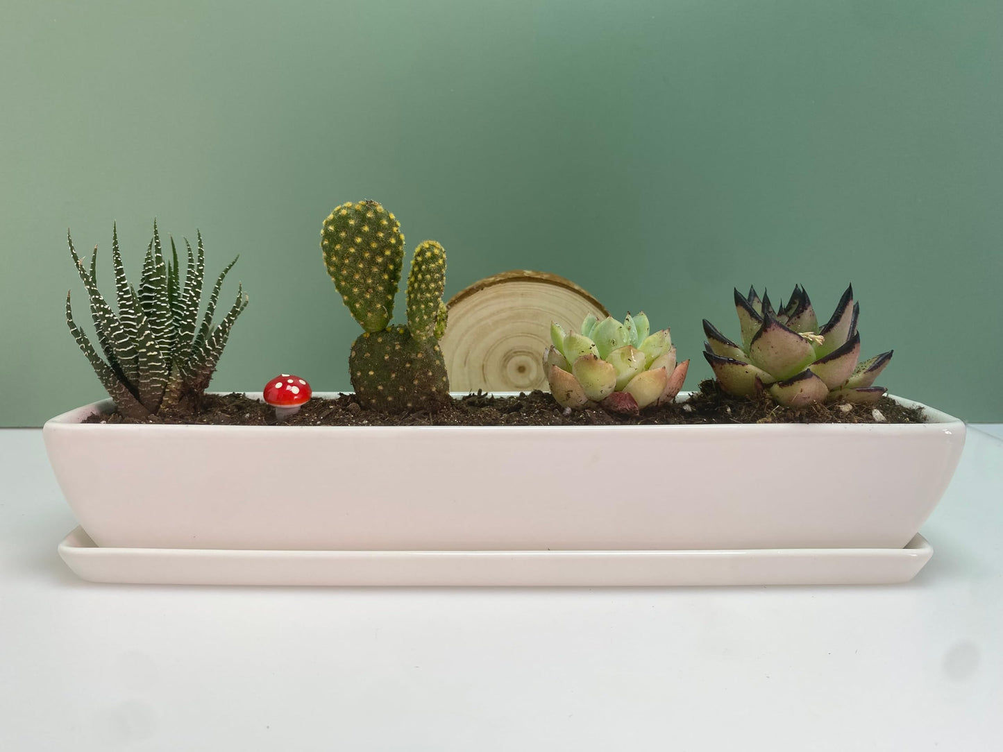 SWONVI 11.1 inch Long Rectangle White Ceramic Succulent Planter Pots with Ceramic Saucers/Mini Flower Plant Containers wPlant Window Boxes for Office/Home, (2 pcs Rectangle Pot)