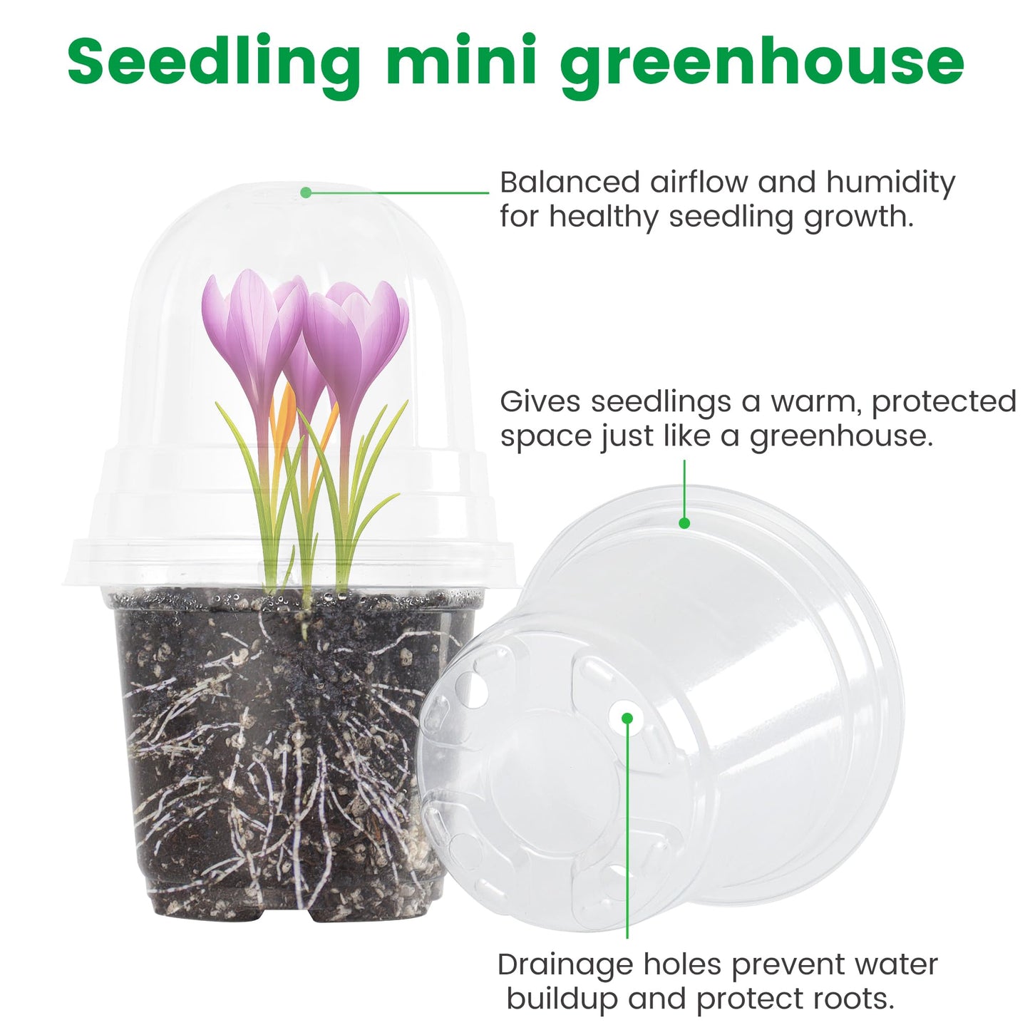 Bluepro 36 Packs 5/4/3.5 Inch Clear Nursery Pots with Humidity Domes, Transparent Plant Pots with Drainage Holes, Variety Pack Seedling Pots for Vegetable Propagation, Root Cutting, Seed Starting