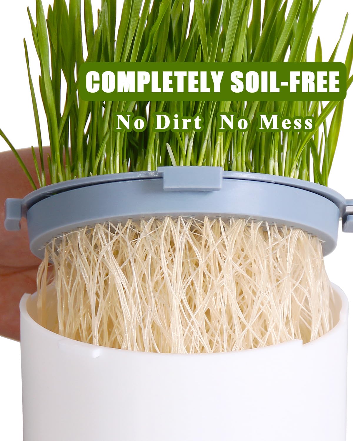 BENPIN 2Pcs Hydroponic Cat Grass Planter (no Seeds Included), Soil Free, Anti Digging, Anti Grass Uprooted, Wheatgrass Growing Kit, Cat Grass for Indoor Cats Pets (2)