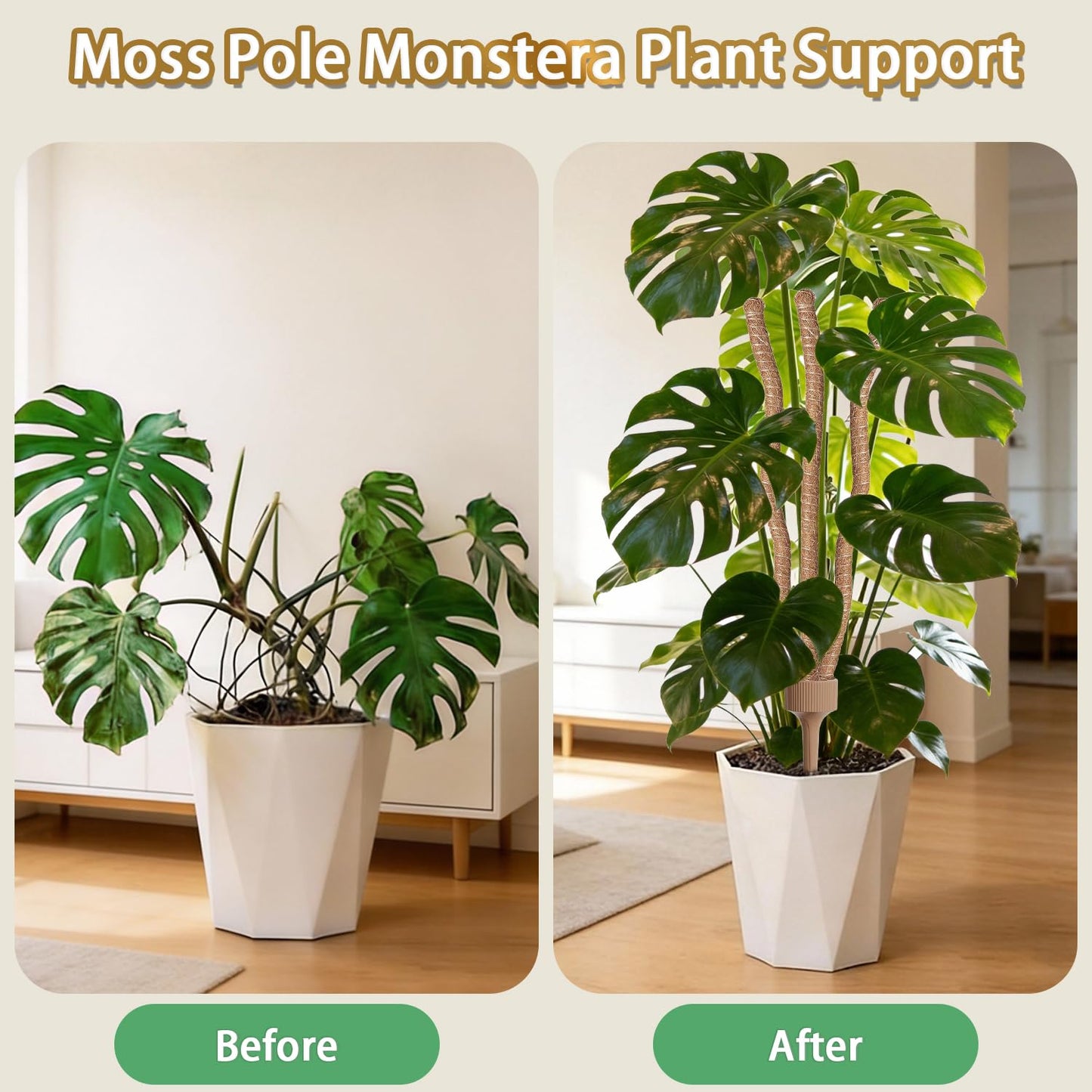 3 Moss Poles in 1, Bendable Monstera Plant Support, 29.9IN Tall Plant Stakes for Indoor Plants, Coir Pole Plant Support for Climbing Plants, Pothos, Philodendron-1 Pack