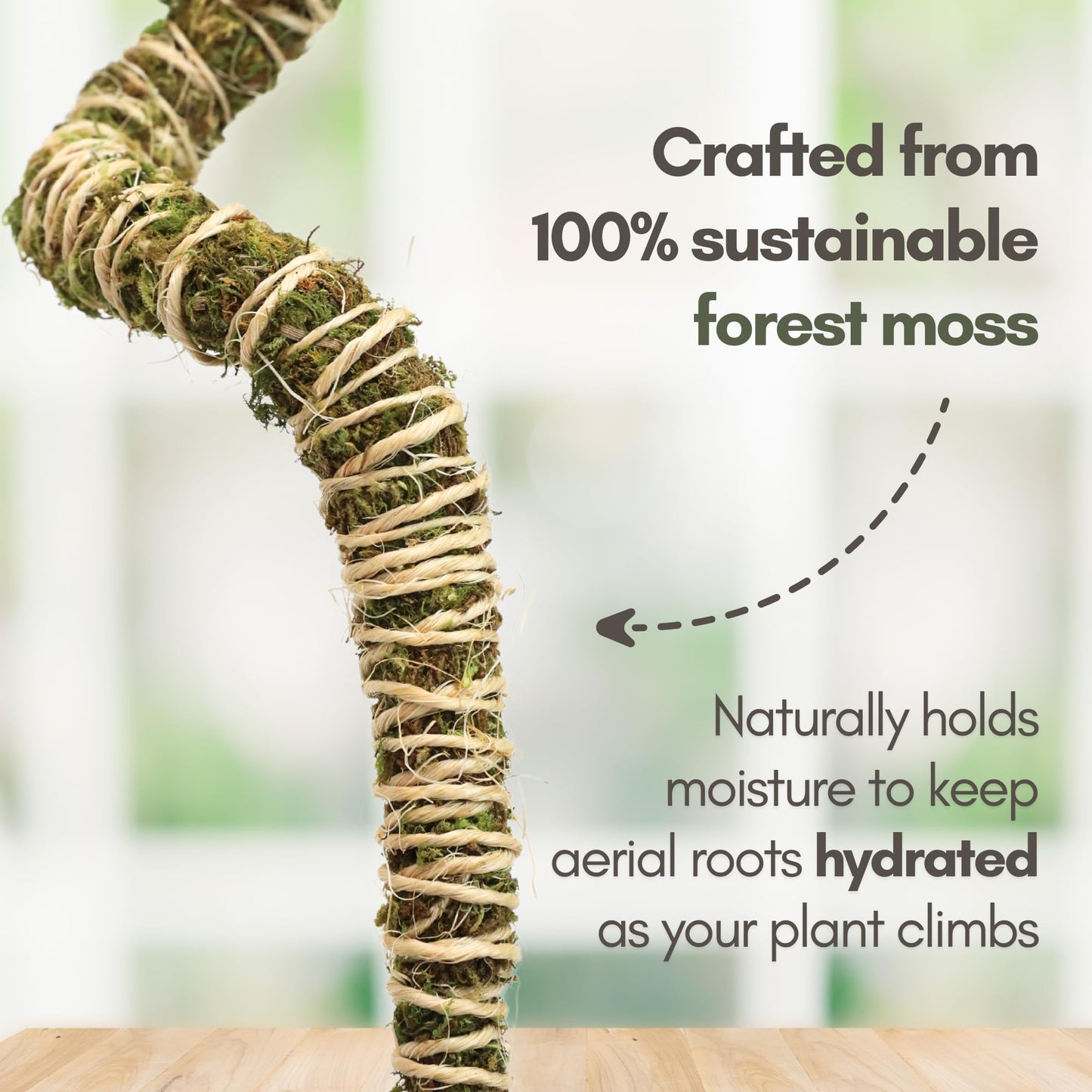 Mossify Bendable Moss Pole 3 Pack 30'', Monstera Plant Support - Natural Forest Moss Poles for Climbing Plants - Flexible & Thin Plant Sticks for Monstera Support - Indoor & Outdoor Plants Mosses Pole