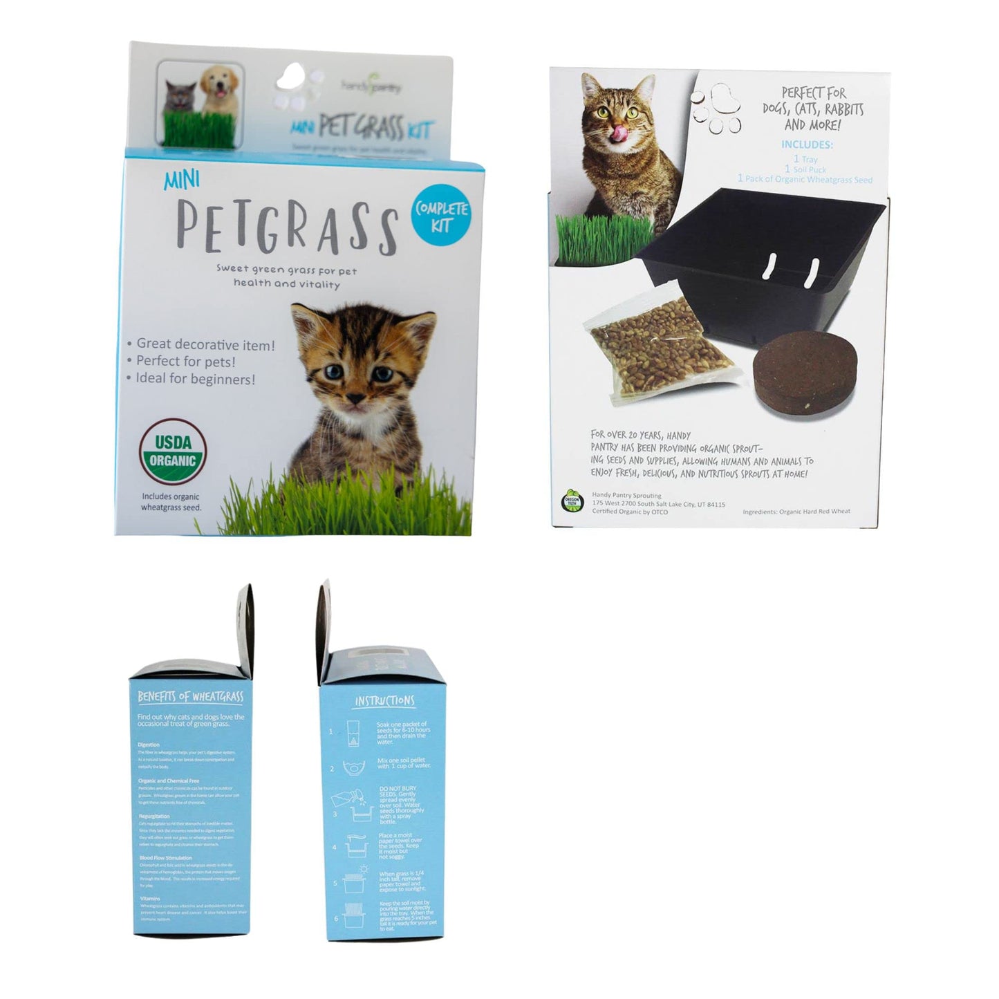 Handy Pantry Organic Cat Grass Kit - Includes 1 Tray, 1 Soil Puck, and Non GMO Wheatgrass Seed - A Healthy Treat for Cats, Dogs, Rabbits, and More