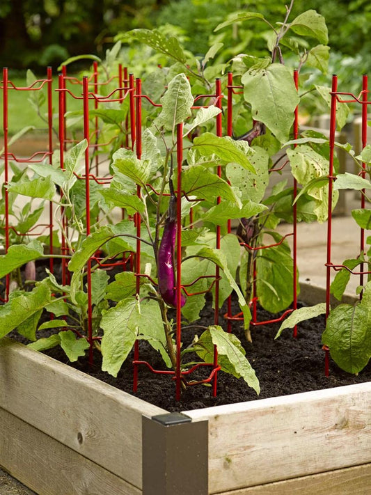 Gardener's Supply Company Pepper and Eggplant Garden Stakes | Upright Metal Vegetable Plant Supports | Sturdy V -Shape Stackable Ladder Trellis | 6" W x 6" D x 32" H (Set of 3) - Red
