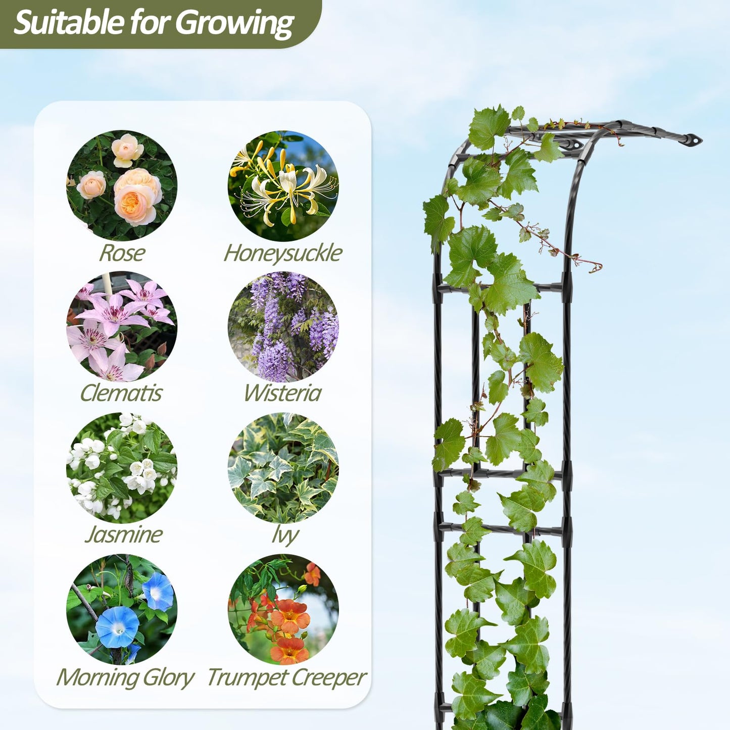 Trellume Half Garden Arch - Wall Trellis for Climbing Plants Outdoor, Metal Arch with Plastic-Coated Steel Pipe, Arbor Trellis for Lawn, Patio, Backyard Decorations, 47in(L)*94.5in(H)