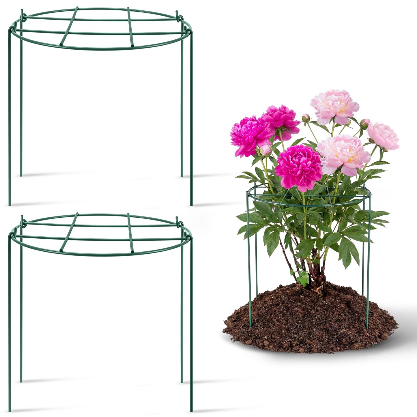 Novabright 2 Pcs 24" H x 20" D Large Peony Cage and Support Grow Through Plant Supports Round Garden Flower Stake Plants Ring Hoop for Outdoor Floral Tomato Vegetable Improve Planting Success Rate