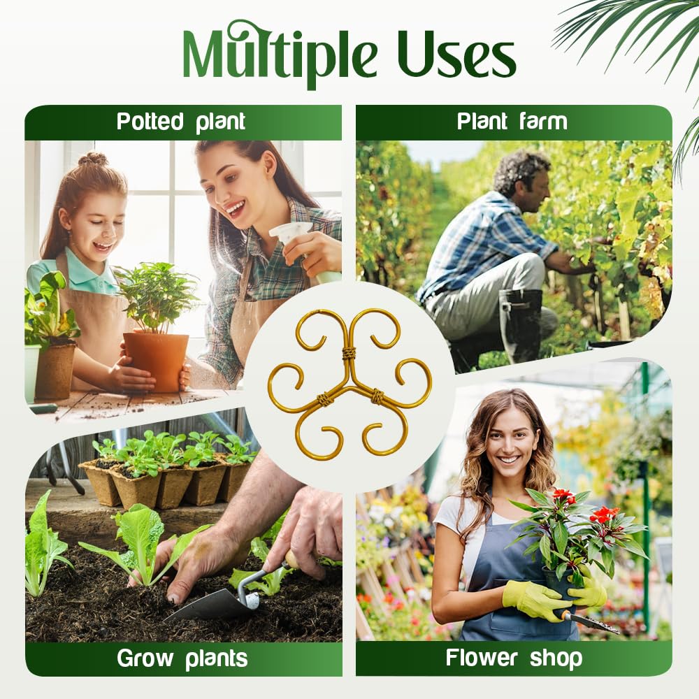PETUPS Monstera Plant Support, 2025 Durable Monstera Stabilizer Grapple Holder, Stable Plant Support Stakes Garden Clips for Climbing Plants, Ideal Plant Stem Holder for Thriving Growth (6PCS, #A)