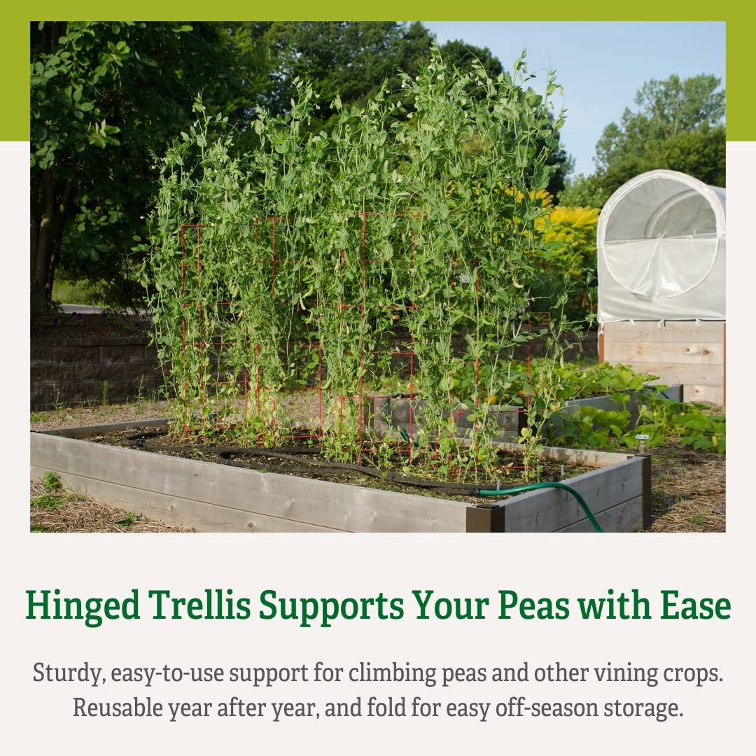 Gardeners Supply Company Sturdy Expandable Tall Pea Trellis for Climbing Plants | Multi-Use Heavy Duty Outdoor Garden Peas, Tomato, Cucumber Steel Plant Support | 9'-8" L x 37" H - Red