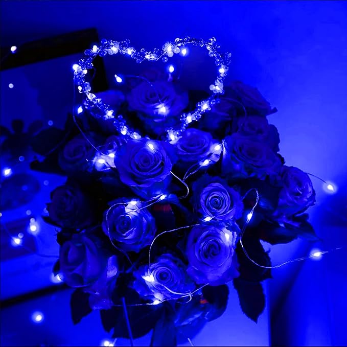 20 Pack Multi Color Led Fairy Lights Battery Operated String Lights Waterproof Silver Wire 7 Feet 20 Led Firefly Starry Moon Lights for DIY Wedding Party Bedroom Patio Christmas Mason Jar Easter Decor