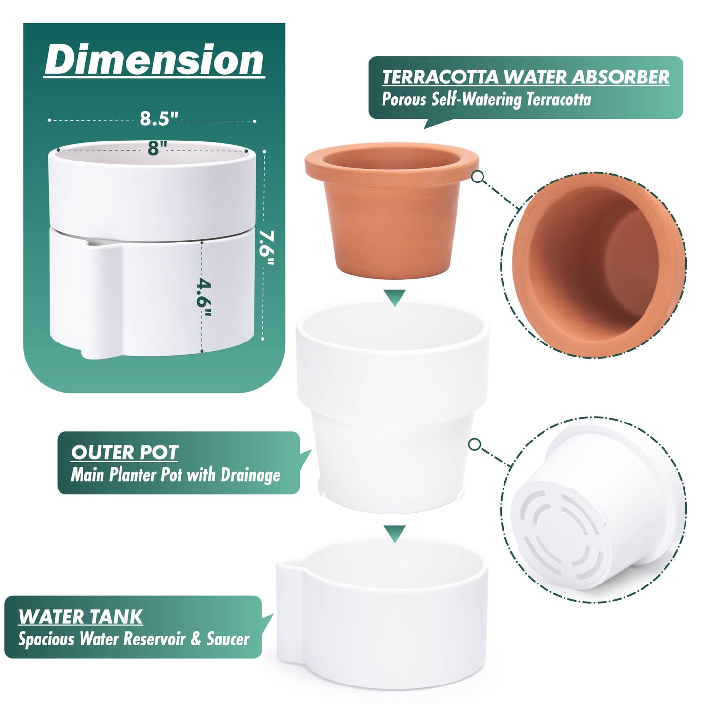 Phoenix Vine 8 Inch Self-Watering Planter Pot with Terracotta Insert, Deep Water Reservoir, and Ceramic-Alike BPA-Free Plastic Planter Pot for Plant, Modern Planter for Houseplants, White, 53-A-T-1