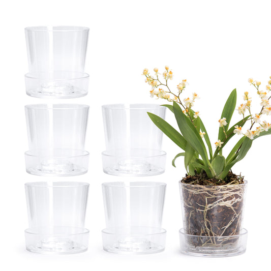 Phoenix Vine 3.5 Inch Clear Acrylic Planter Pot with Tray, Orchid Pot with Drainage Holes, Deep Saucer for Bottom Watering, Transparent Containers for Indoor Plants, Herbs, Set of 6, 91-A-D-6