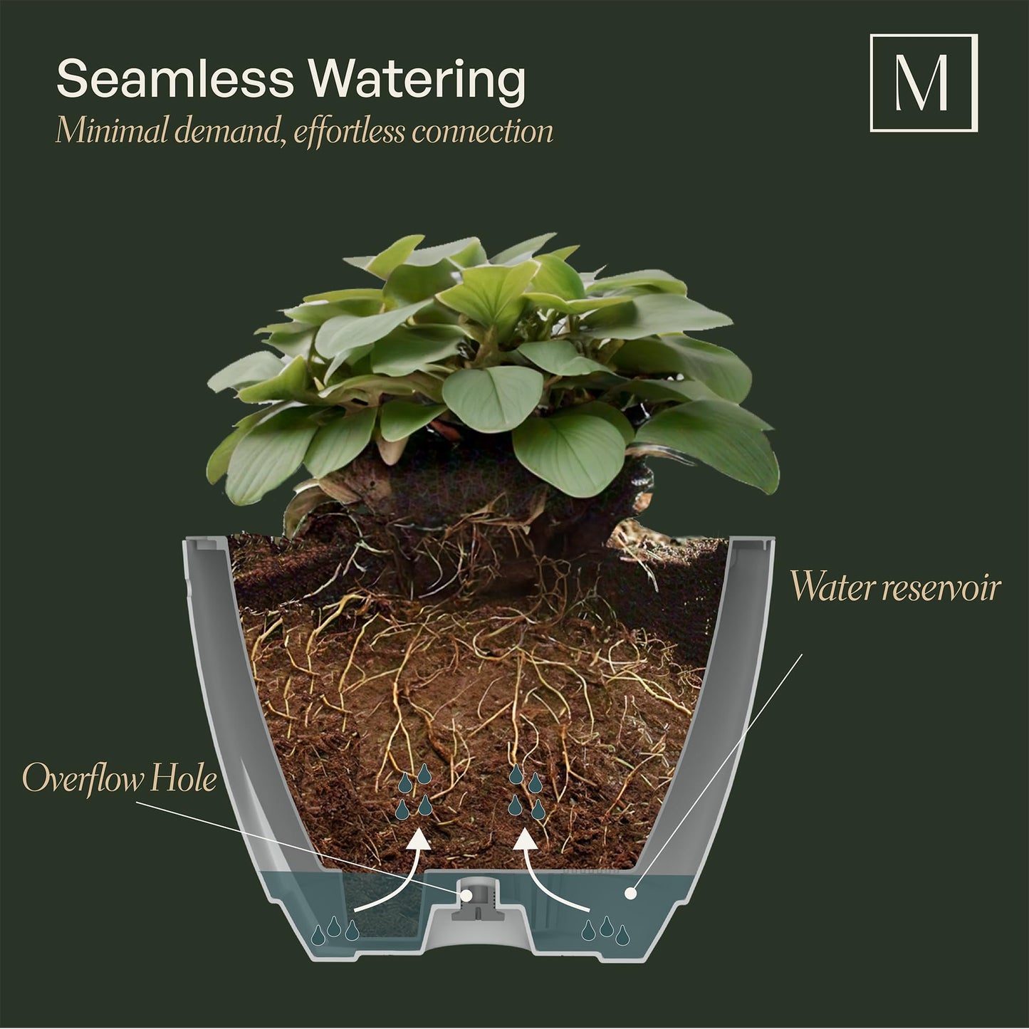 Mayne Caprio Self Watering Hanging Planter Set, 2 Pack - Sturdy, Lightweight Planters for Indoor and Outdoor Use, with Water Level Indicator and Drainage System, Basket for Flowers