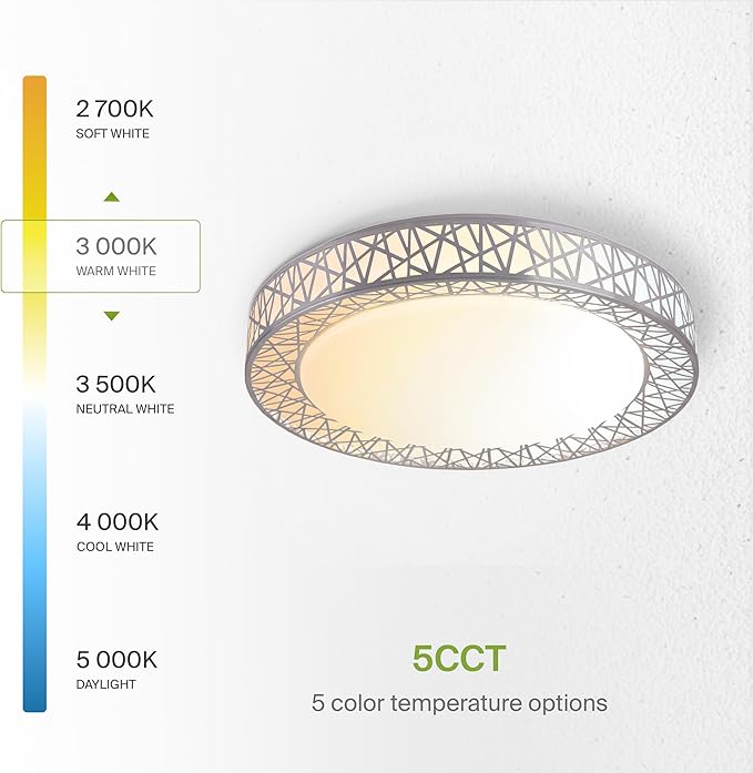 ASD 20 Inch LED Flush Mount Ceiling Light Fixture for Bedroom, 42W 2474LM 5CCT 2700K-5000K, Dimmable Lights, Dining, Living Room, Kitchen Lamps, Modern Home Lighting Fixtures, Nickel, ETL, 2 Pack
