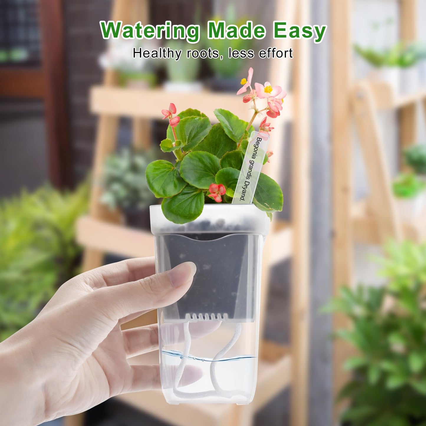 6PCS Mini Self Watering Pots for Indoor Plants - 2" Small Clear Planter with Wicks & Water Level Indicator, Plastic Automatic-Watering Pot for African Violet, Succulent, Alocasia, Hoya, Plant Label