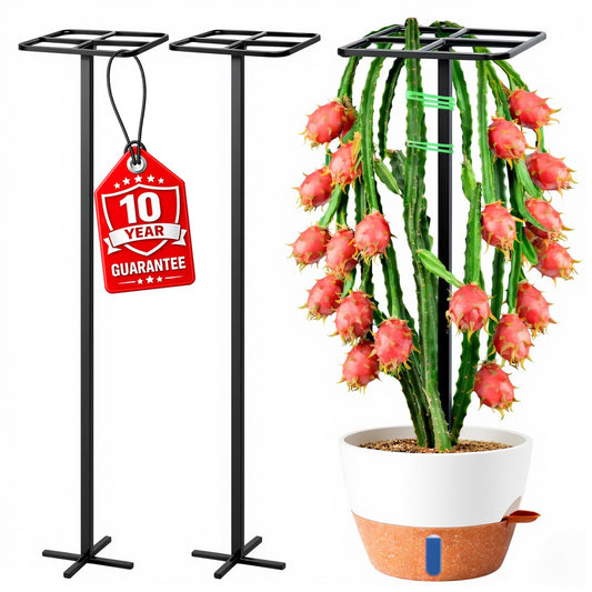 2-Pack Metal Dragon Fruit Trellis Support Set, 12" x 48" Outdoor Garden Plant Cage for Climbing Vines, Includes Stretch Plant Ties, Heavy-Duty Weather-Resistant Trellis for Tomatoes, Roses, Jasmine