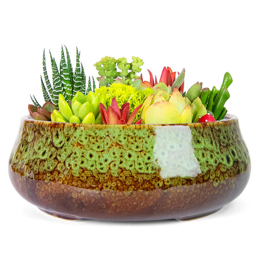 ARTKETTY Succulent Pots - 8 Inch Plant Pot, Large Bonsai Pots with Drainage, Ceramic Planters for Indoor Outdoor Plants, Round Shallow Cactus Flower Plant Container Bowl Decorative Home Garden