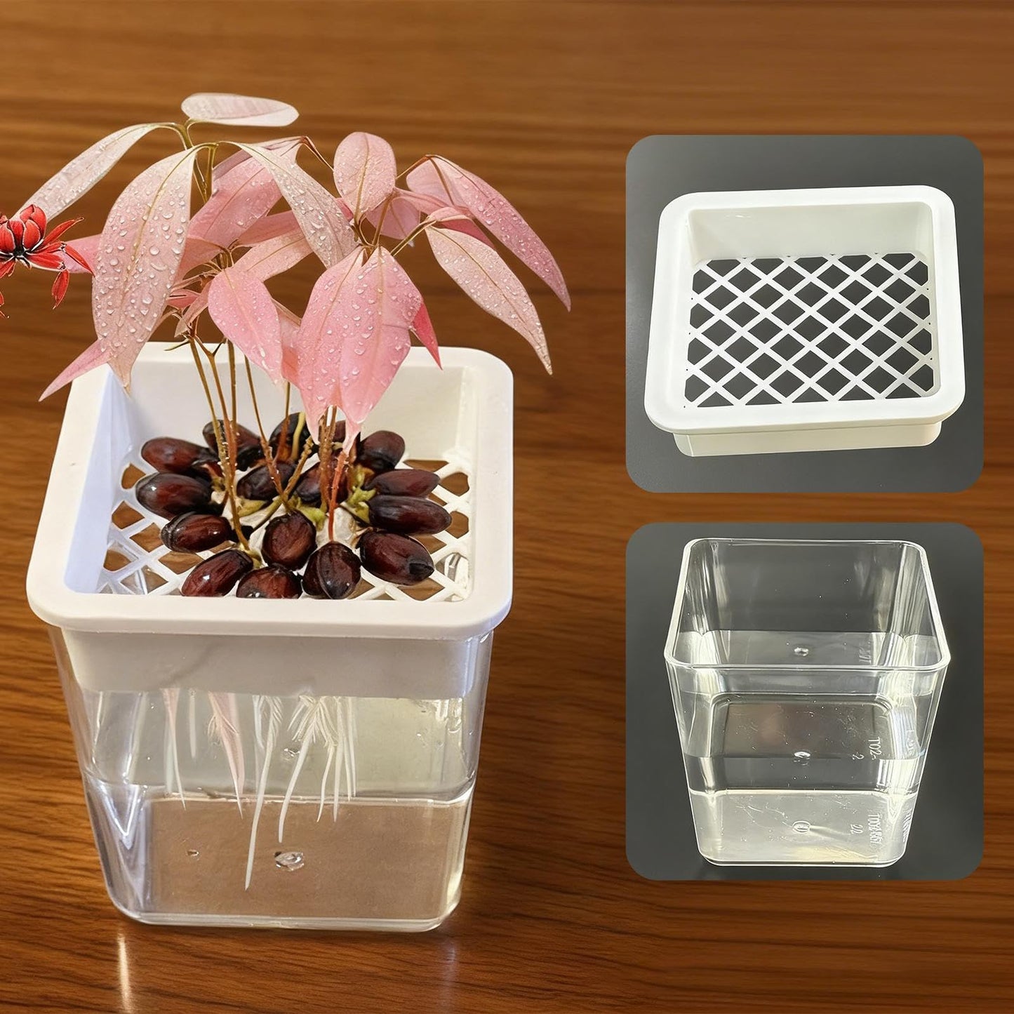 Plant Pot - Transparent Plant Containers - Hydroponic Containers - for Semi-Hydro Cuttings Seedlings African Violets Balcony Desk Garden Porch Windowsill Bedroom Living Room Yard
