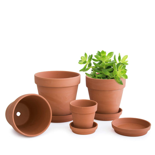 D'vine Dev Set of 4 Small Clay Planters, 3 Inch 4.5 Inch 5 Inch 6 Inch Terracotta Plant Pots with Drainage Hole and Saucers for Indoor Plants, 588-57-1