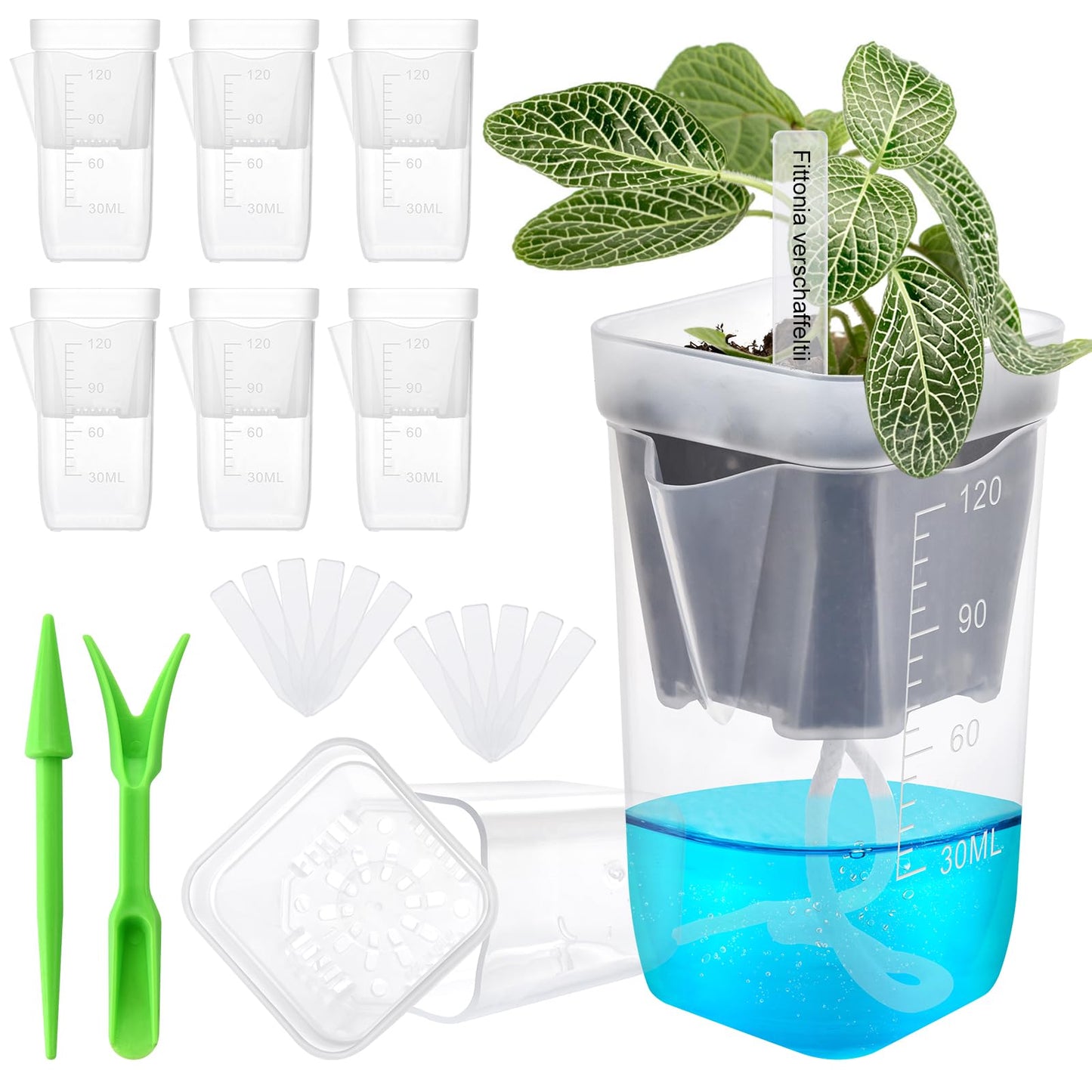 6PCS Mini Self Watering Pots for Indoor Plants - 2" Small Clear Planter with Wicks & Water Level Indicator, Plastic Automatic-Watering Pot for African Violet, Succulent, Alocasia, Hoya, Plant Label