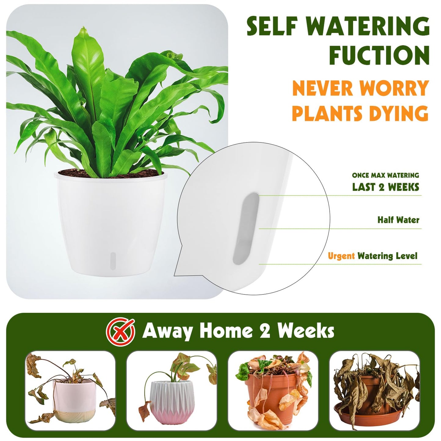 KvyusFlourish 8-Pack 5 Inch Self Watering Pots, Indoor Planter with Indicator, Transparent Wick Pot for Orchids, Small African Violet Pot, for Plants