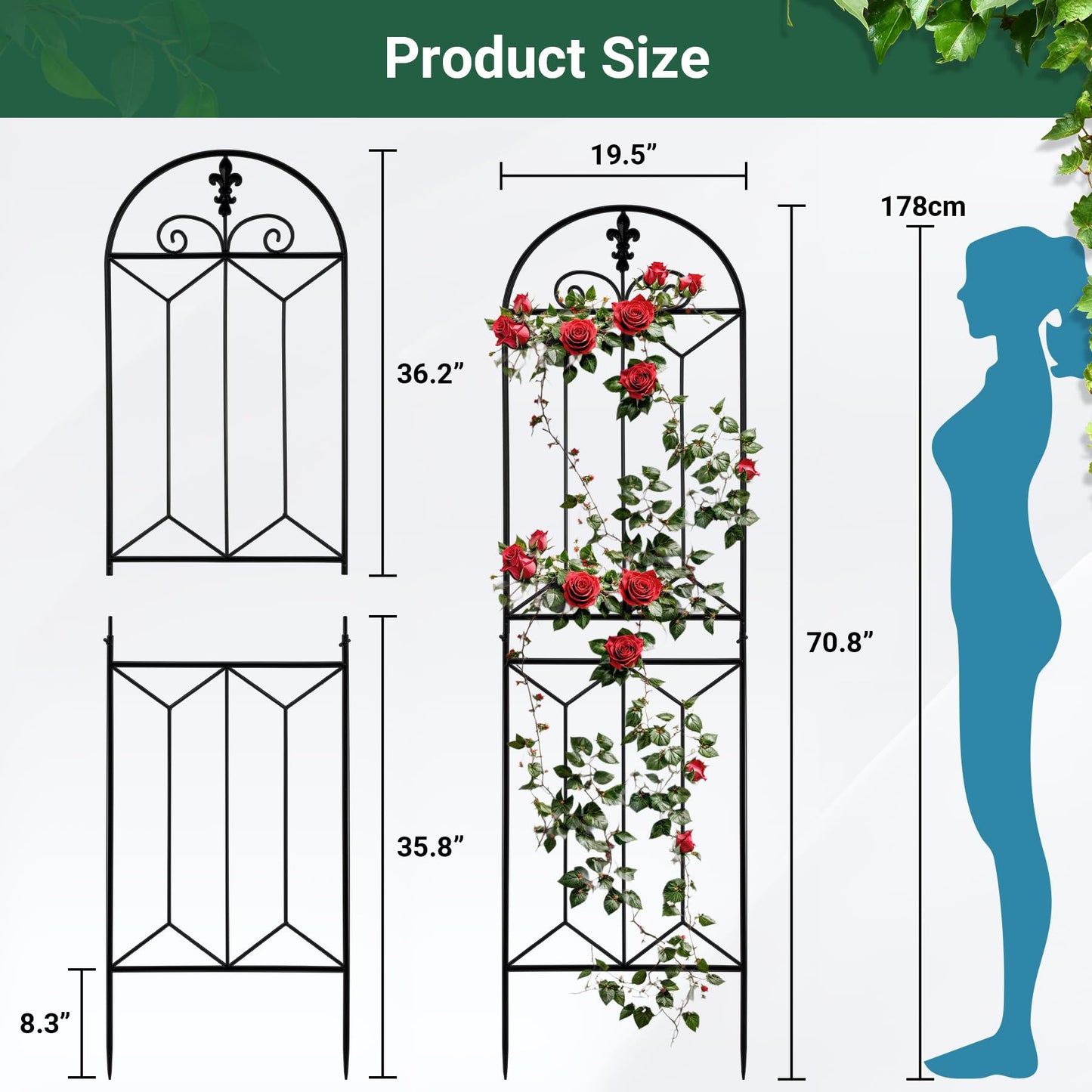 Toriexon Metal Trellis Outdoor 70.8" x 19.5" - 2 Pack, Trellis for Climbing Plants Outdoor, Rustproof Metal Garden Trellis for Vine Cucumbers, Vegetables, Flower Support