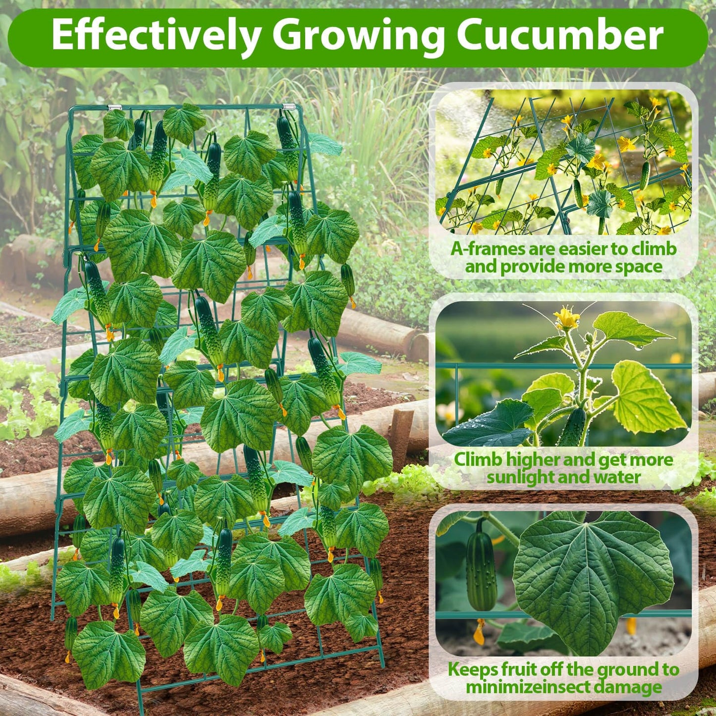 ROADPLUM Cucumber Trellis for Raised Garden Bed, Outdoor Sturdy Metal A-Frame Cucumber Trellis Support for Climbing Plants Vegetables and Fruits with Accessories, Easy installation and Easy Harvesting