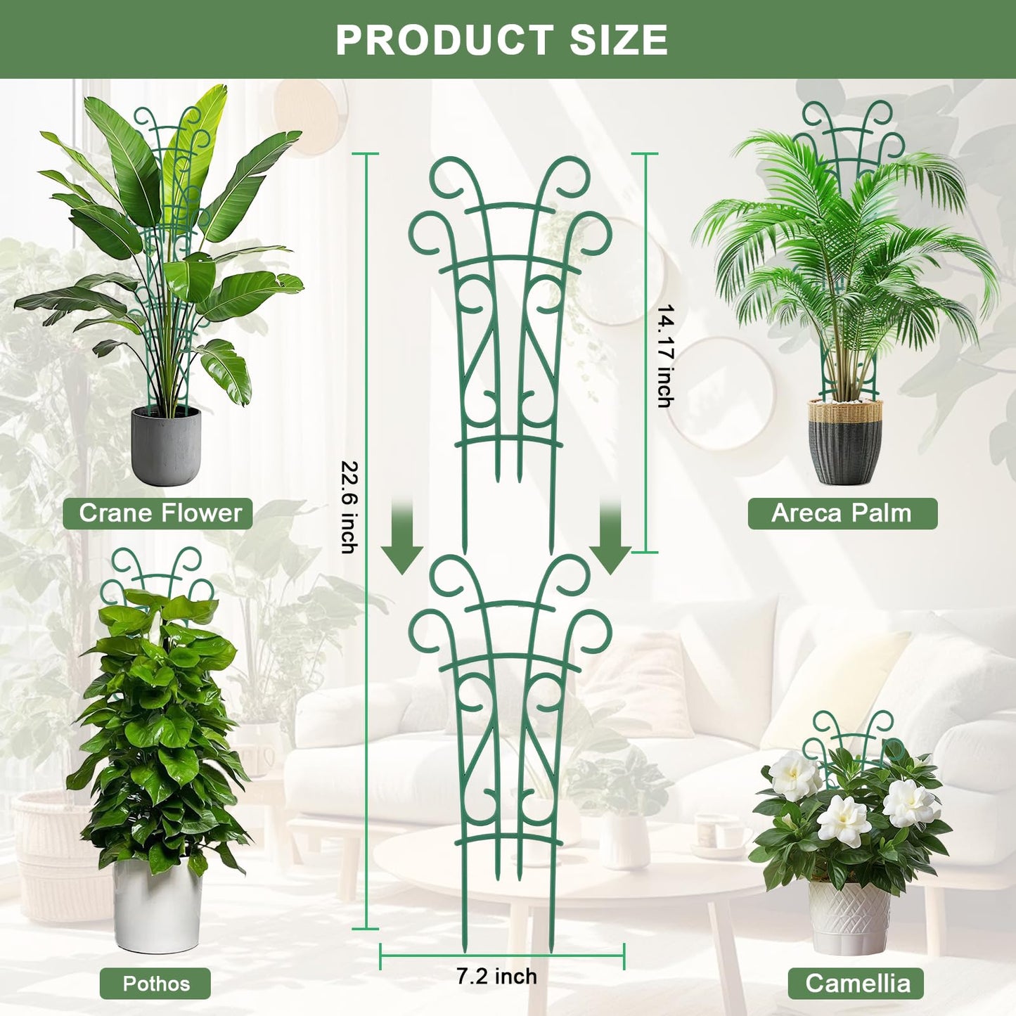 10 Pack Indoor Plant Trellis for Potted Plants, Stackable Garden Trellis for Climbing Plants Outdoor, Small Trellis for Houseplants Rose Hoya Pothos Plant Climber Support