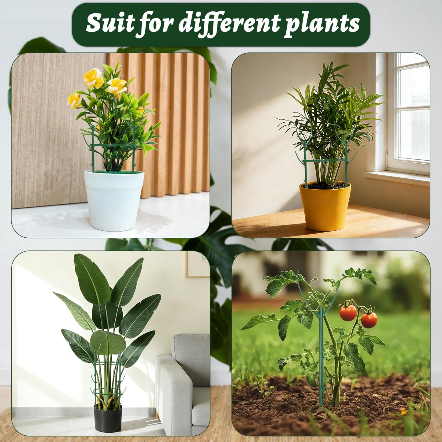 Stackable Plant Support Stakes,The Growing Frame for Indoor Plants, 40 Pcs Extendable 12-60 Inch Trellis for Monstera, Pothos, and Philodendron