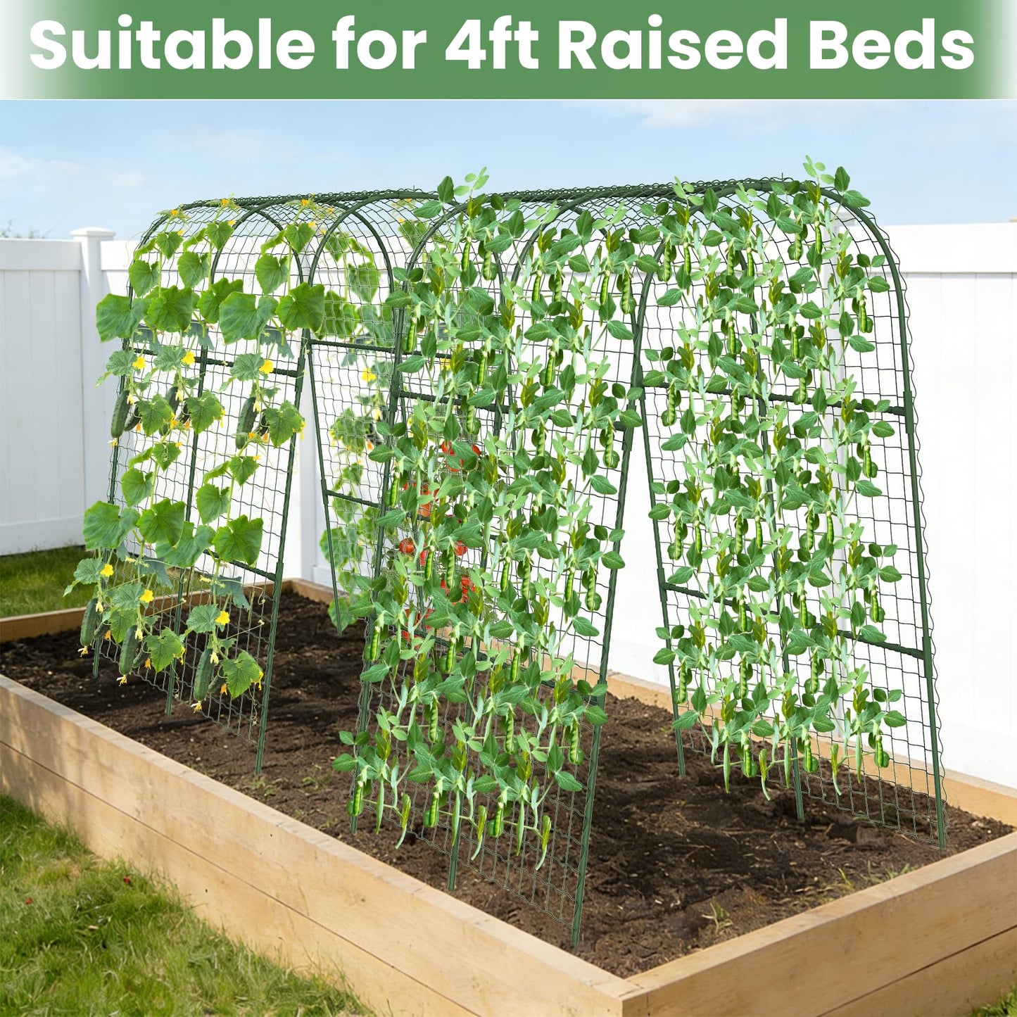 Cucumber Trellis, Metal Garden Arch Trellis for Raised Bed, 32 x 48inch U-Shape Garden Trellis for Climbing Plants Outdoor, Vegetables Fruit Plant Support with Netting, Gardening Supplies (Green)