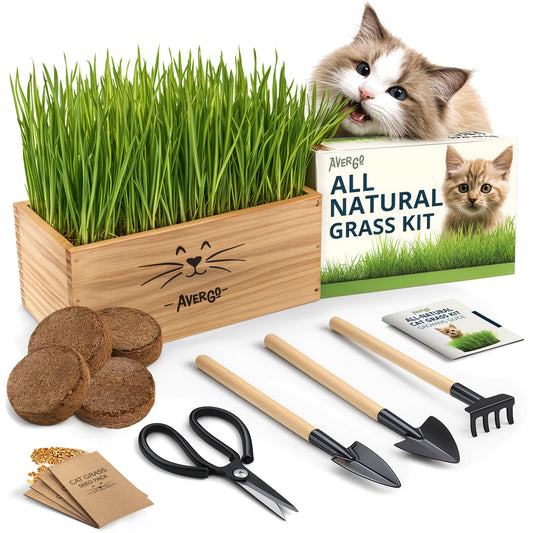 Cat Grass Kit for Indoor Cats – x4 Seed Packets | Cat Grass Seeds with Wooden Planter, Soil & Mini Gardening Tools for Nipping & Nibbling – Pet Wheatgrass Grass
