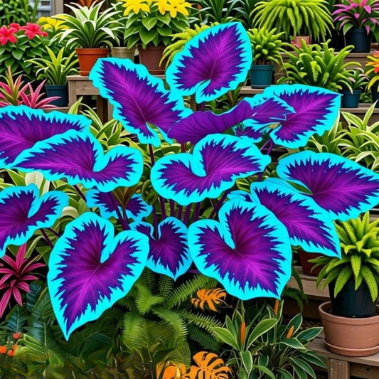 EDRHTJG Elephant Ear Alocasia-Tropical Foliage Large Leaf Decor for Outdoor Garden Patio-Colorful Foliage (6)