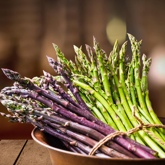 Asparagus Garden Variety Pack, 30 Plants (10 of Each) - Mary Washington, Purple Passion, Jersey Knight - Asparagus Bare Root Plants from Hand Picked Nursery