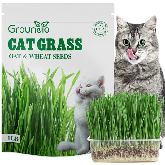 Groundio Cat Grass Seeds, 16 OZ, Grown in The USA for Indoor Cats, Non-GMO, 1 Pound