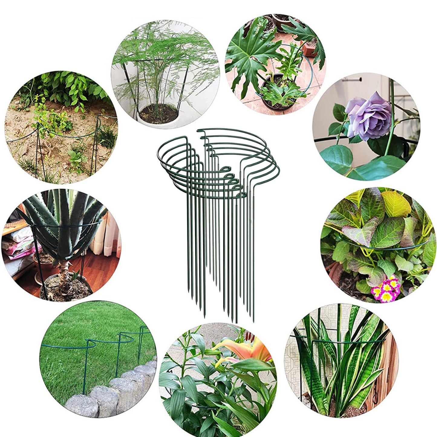 10 Pack Plant Support Stakes, Heavy Duty Interlinked Half Round Peony Metal Peony Cage, Garden Plant Support Ring for Indoor Outdoor Plants, Tomato, Hydrangea, Monstera, Flower (14 x 8inch)