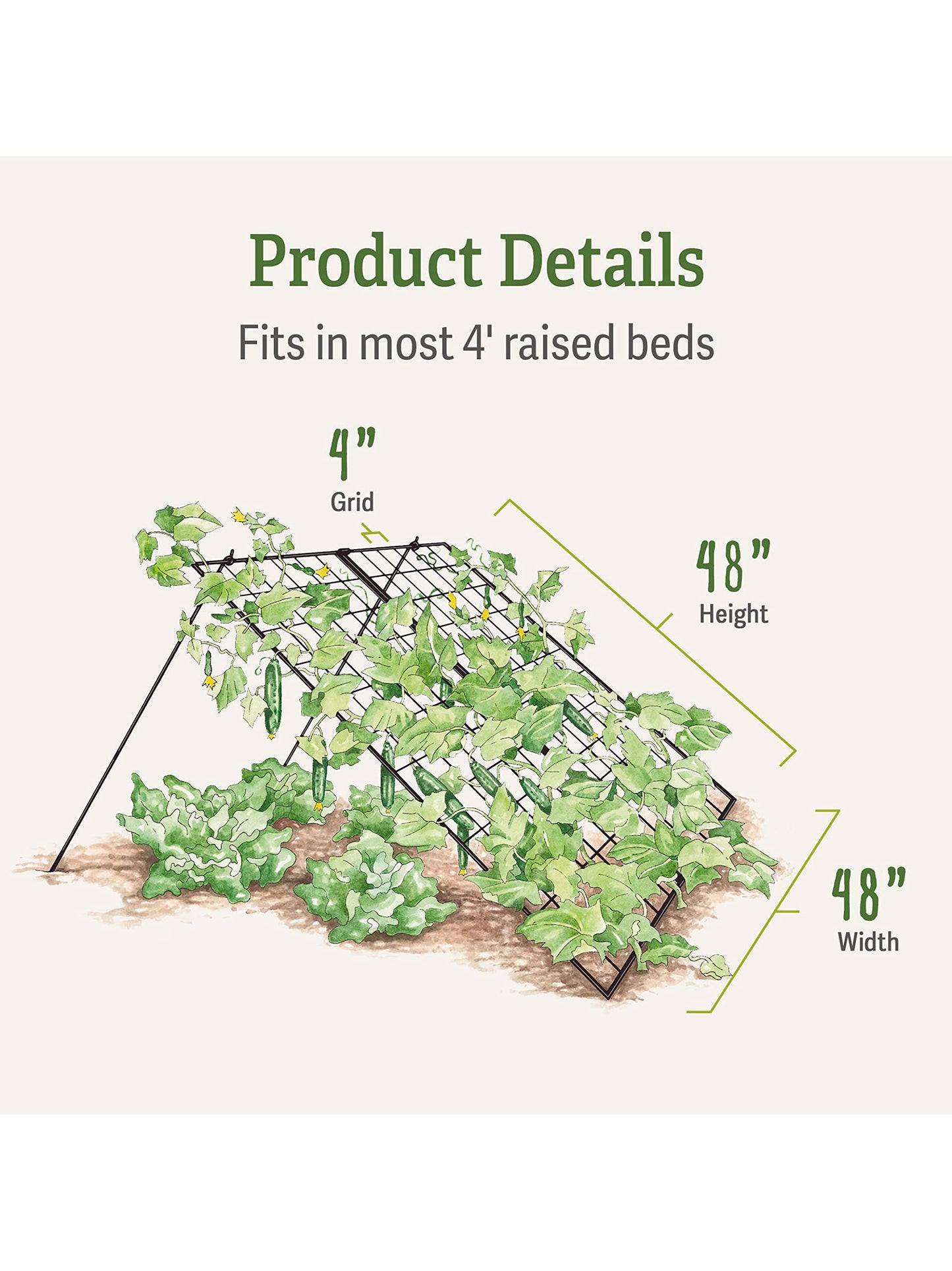 Gardeners Supply Company Sturdy Large Cucumber Trellis Support | Foldable Tough Metal Frame for Outdoor Climbing Plants Support | Best for Easy Harvesting and Easy Installation - 48" W x 48" H