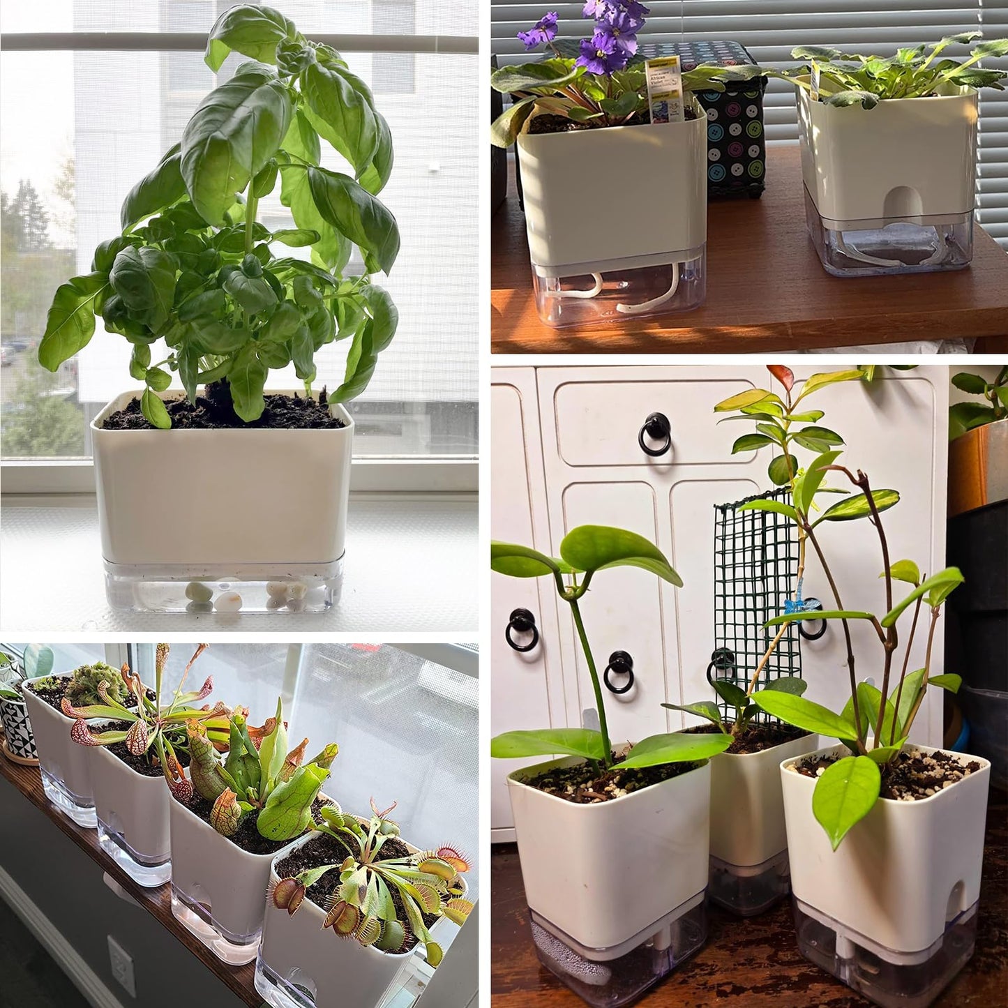 Planterhoma Self Watering Plant Pots for Indoor Plants 7 inch, 4 Packs Rectangle Self-Watering Planters with Drainage Hole, White African Violet Pots for Devil's Ivy, Spider Plant, Orchid, Herb
