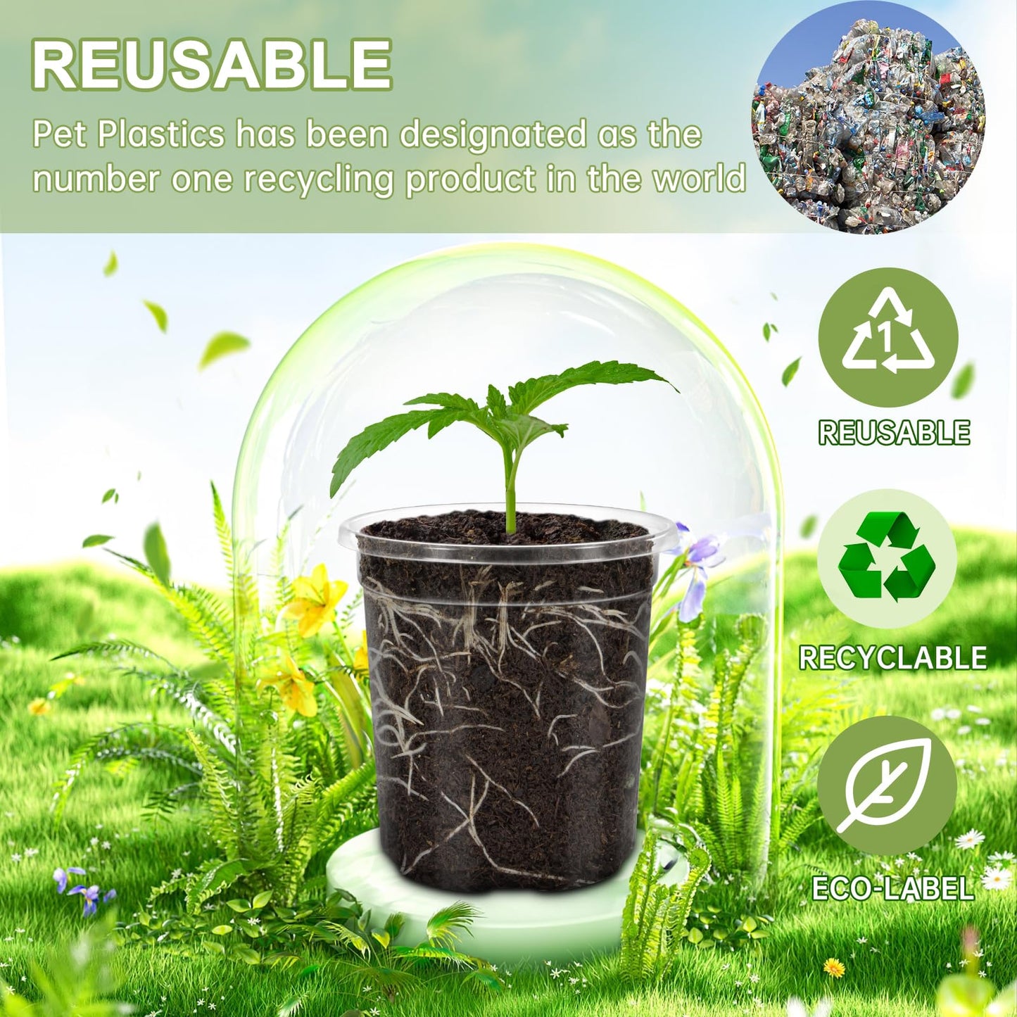 WandaQueen 30 Packs 6.5/5/4 Inch Reinforced Clear Nursery Pots for Plants with Drainage Hole, Variety Pack High Transparency Plastic Seedling Plant Pot with 20 Labels