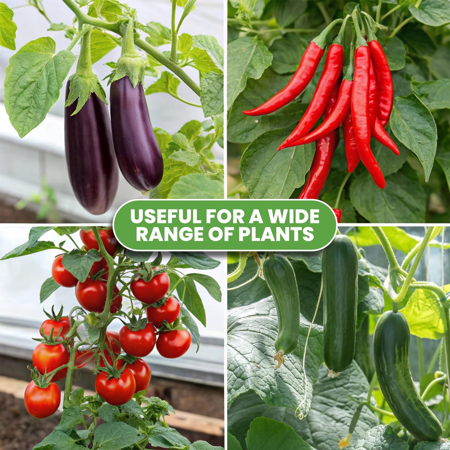 Tomato Cage Premium - Large Trellis Stakes and Plant Support Structures for Vegetables and Climbing Plants - Tall Tomato Cages for Garden, Pots, Raised Garden Bed Outdoor (1 Pack - Up to 63")