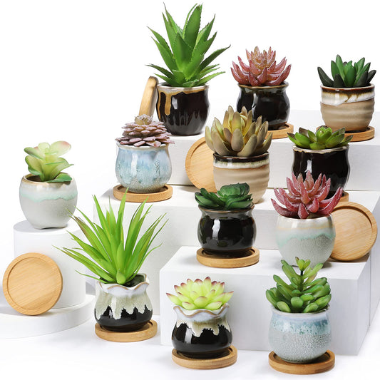 Remerry 12 Pcs Small Succulent Pots Bulk with Drainage Assorted 2.5 Inch Mini Ceramic Succulent Planters Pot with Coaster Bamboo Plant Tray Planting Pots for Home Office Garden (Rich Color)