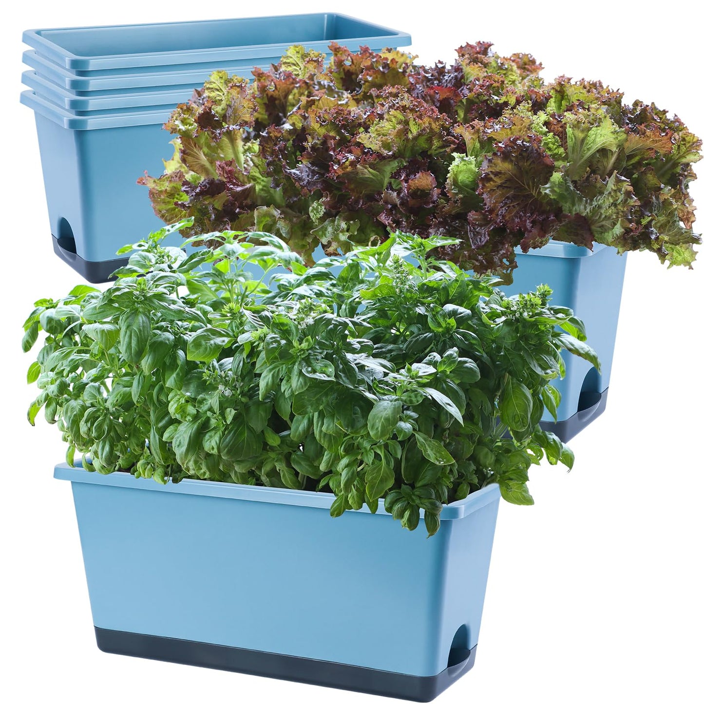 Oliz Window Box Planter 6 Pcs, 17 Inches Rectangle Flower Pots with Drainage Holes and Trays, Vegetable Planters for Windowsill Patio Garden Balcony Indoor Outdoor (Blue, 17 * 7.4 * 7.8 inch)