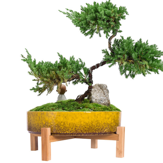 ARTKETTY Succulent Pots - 11 Inch Large Succulent Pots with Drainage Shallow Succulent Planters for Indoor/Outdoor Cactus Flower, Ceramic Bonsai Pots with Bamboo Stand (Yellow)