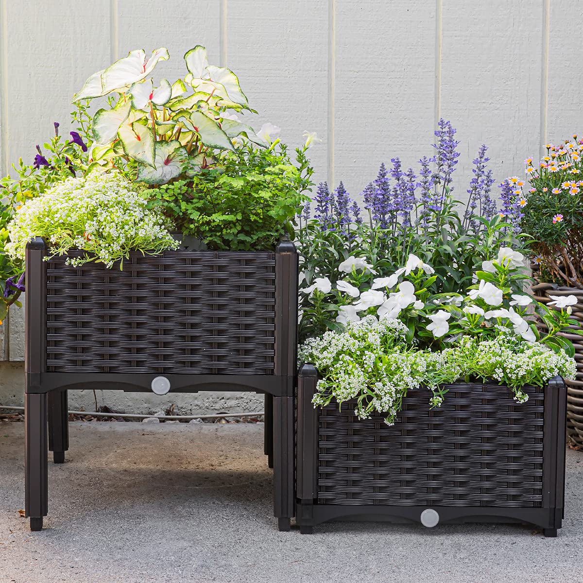 Barton 2 Pieces Raised Garden Bed Brown Plastic w/Self-Watering Design Outdoor Elevated Planter Box Kit Wheels Mobile