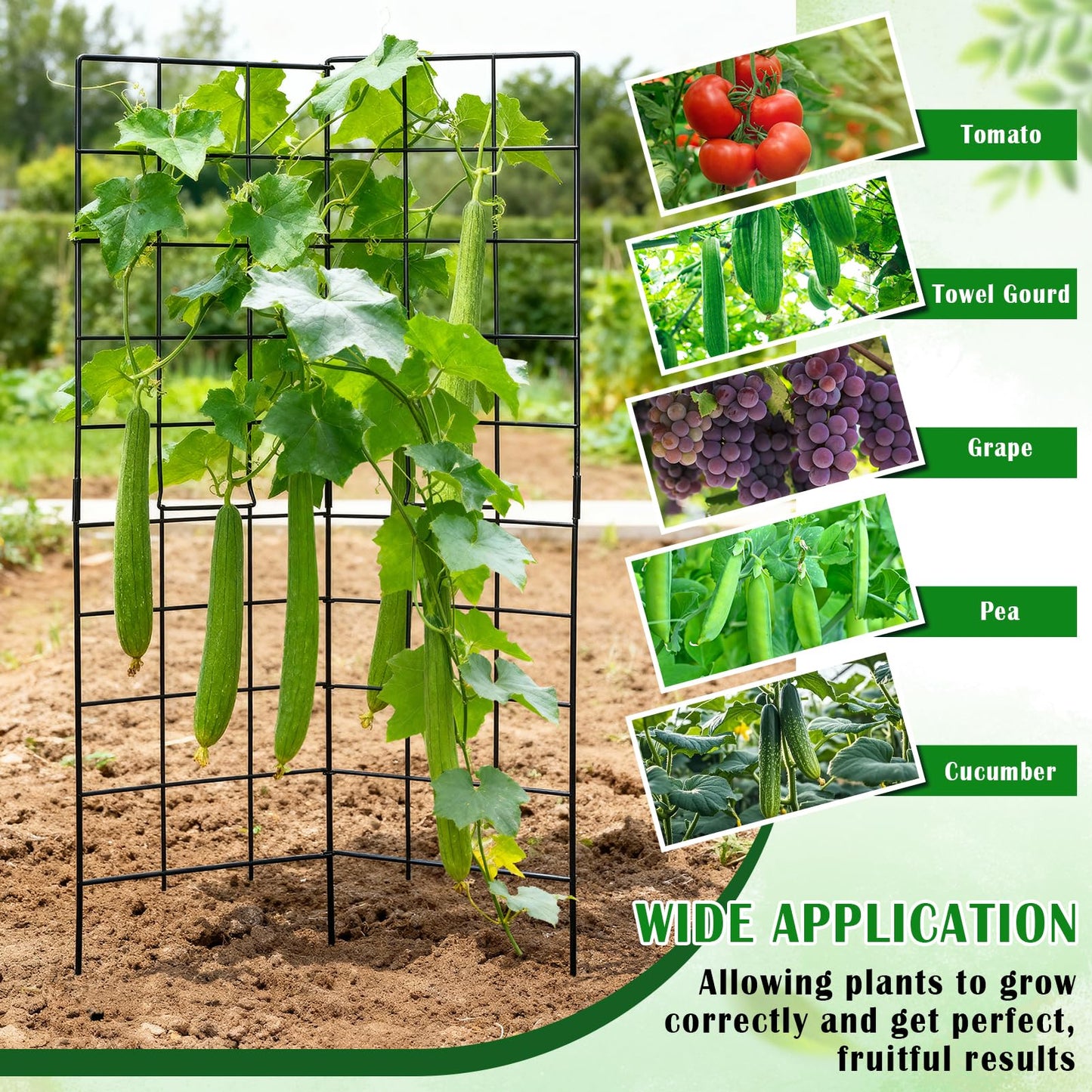 59" H x 31" L Foldable Cucumber Trellis for Climbing Plants,Two Panel Frame Garden Trellis,Raised Bed Vegetables Trellis for Bean,Peas,Grape,Cucumber,Fruit,Flower