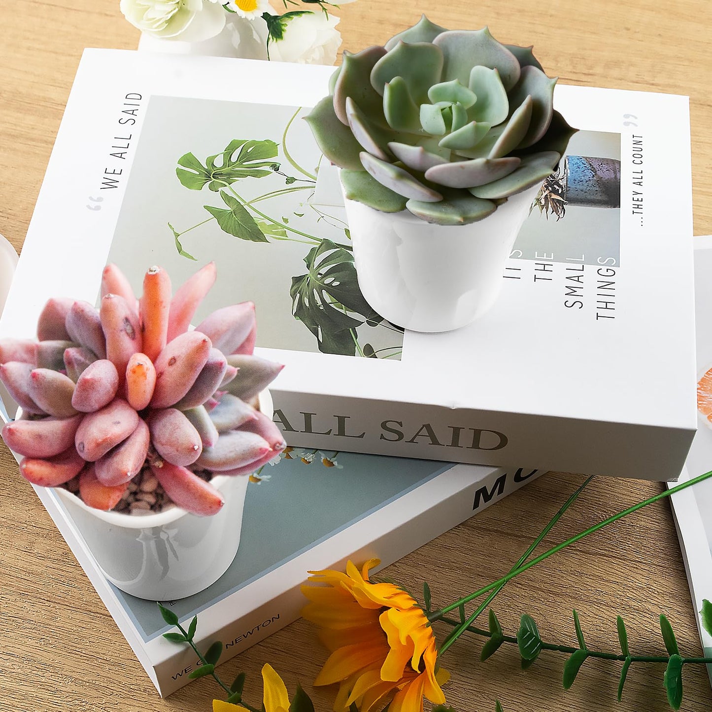 QUYLIXX 24 Pcs Self Watering Pots for Indoor Plants, 3 Inch White Plastic Self Watering Planters with Water Level Indicator - Perfect for Succulents