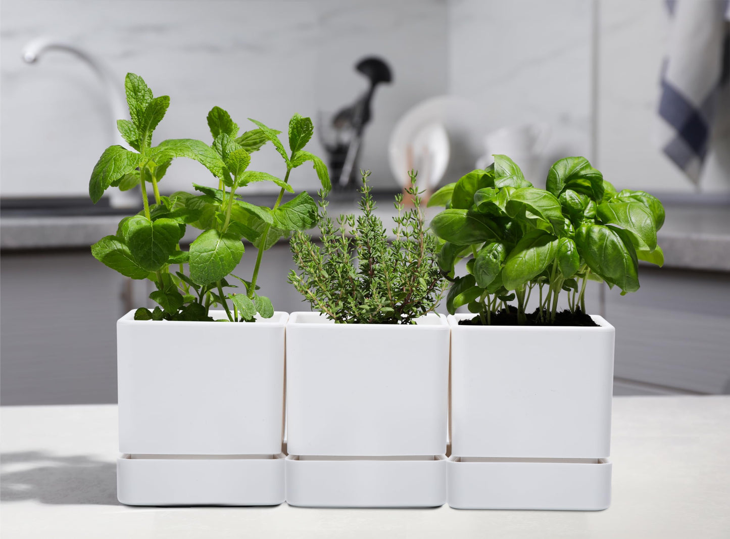 D'vine Dev 4 Inch Herb Planter Pot, Plastic Planter with Drainage Holes and Saucer, Modern Decorative Gardening Pot for Indoor Plants, Flowers, Herbs, Succulents, White, Set of 3, 76-Y-A3-1